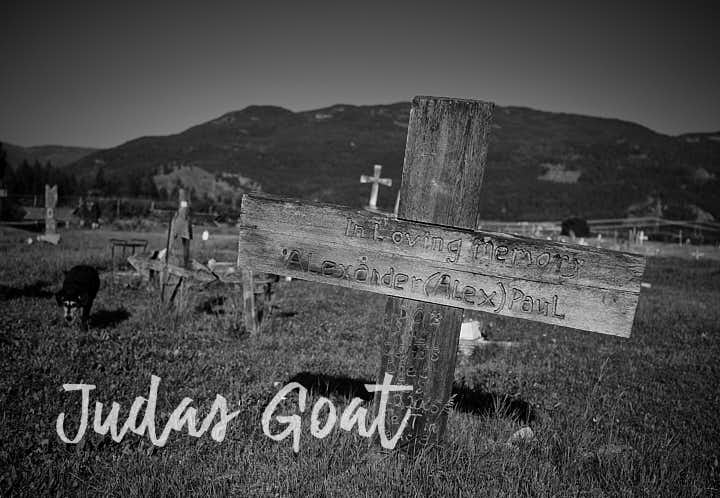 Judas Goat